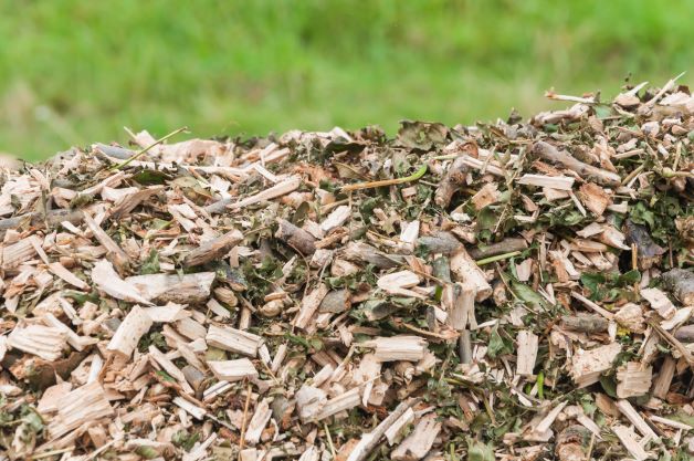 A pile of wood chips